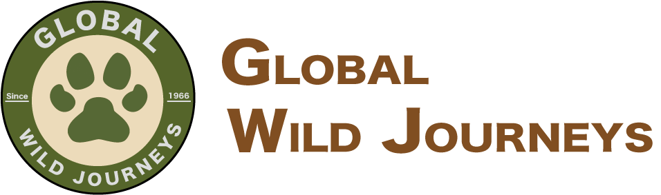 Global Wild Journey